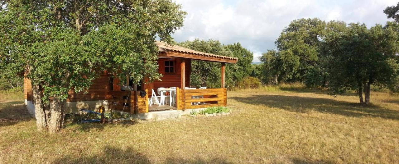 Chalet Climatise Porticcio Corse Fontanaccio Dış mekan fotoğraf
